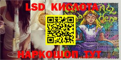 шишки Будённовск