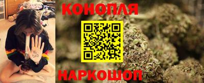 шишки Будённовск