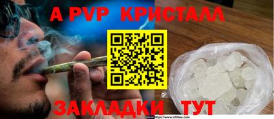 шишки Будённовск