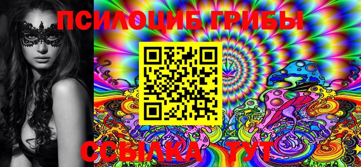 Псилоцибиновые грибы Cubensis Лесосибирск