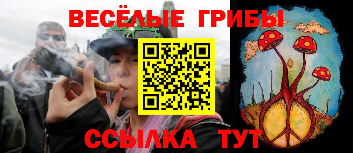 Лесосибирск  Псилоцибиновые грибы ЛСД  Вход с VPN 